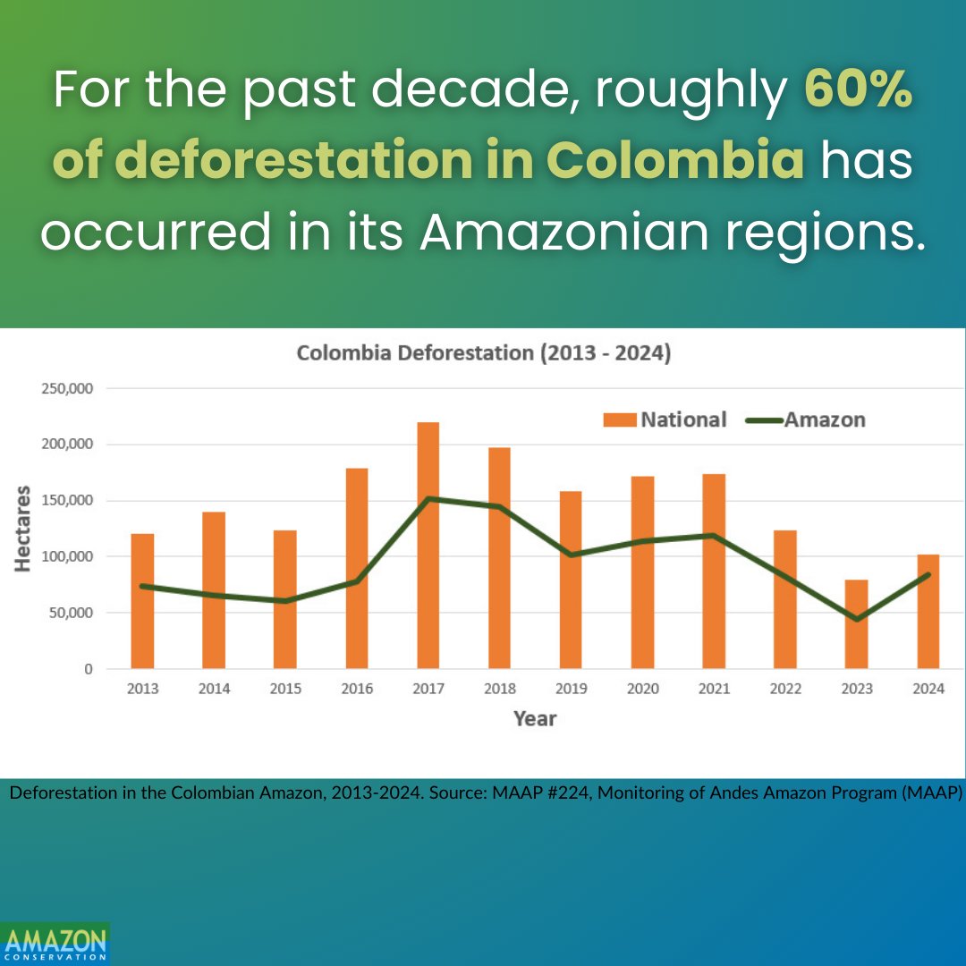 Amazon Conservation tweet media