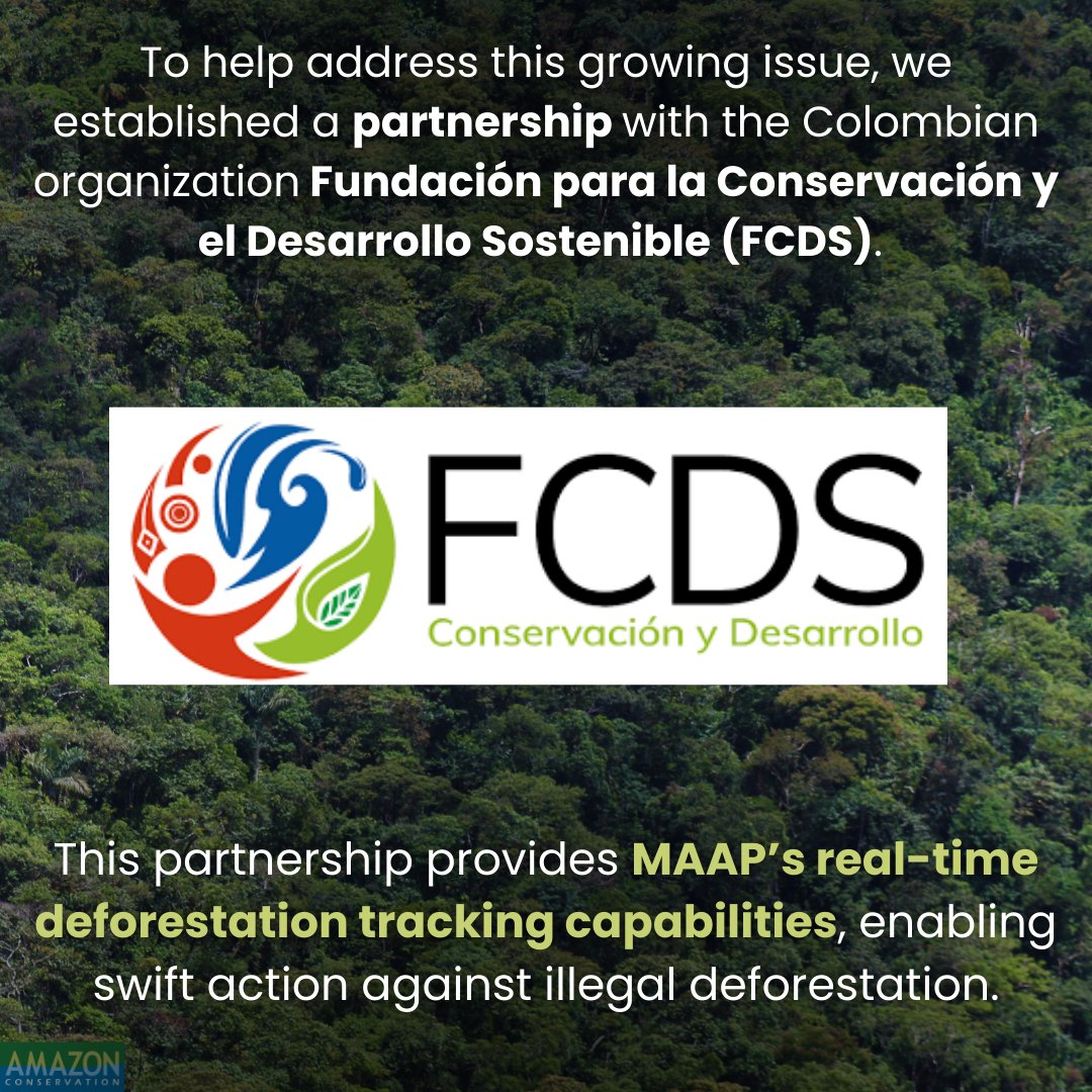 Amazon Conservation tweet media