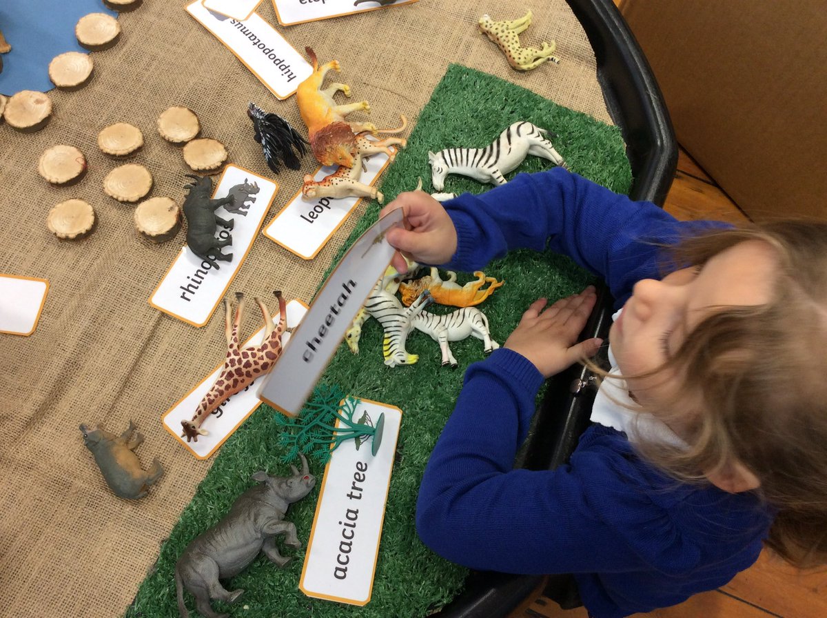 Elton Primary School tweet media