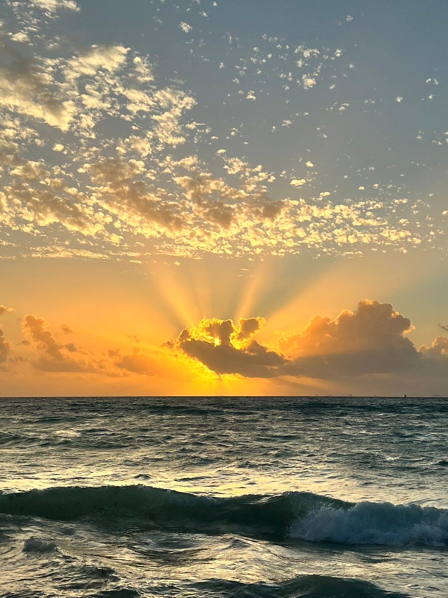 LifeSynergyRetr's tweet photo. 🌞Our next retreat starts on Monday!🌞

💛Drop us a message if you want to join us and experience sunsets and seas like this in the most stunning parts of Mexico. https://t.co/cxCw7yYxHE