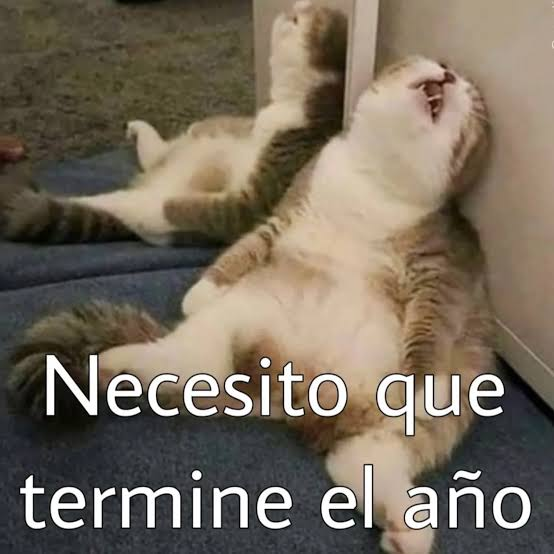 Huesudo 💀 tweet media