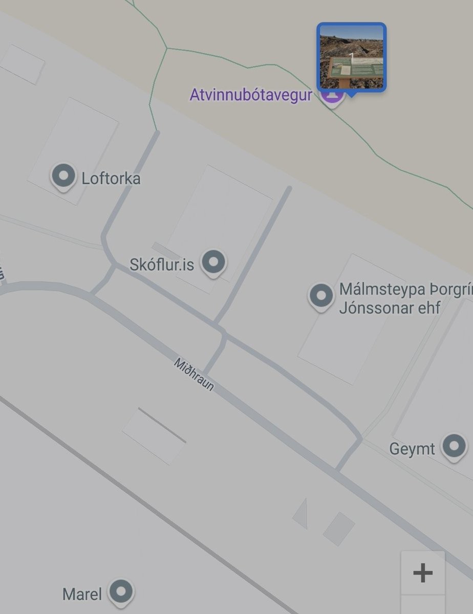 Halli🌳 tweet media