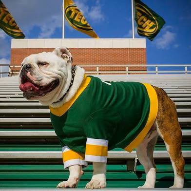 Illinois Hoops Recruits tweet media