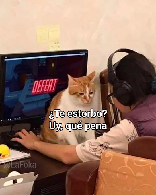 Huesudo 💀 tweet media