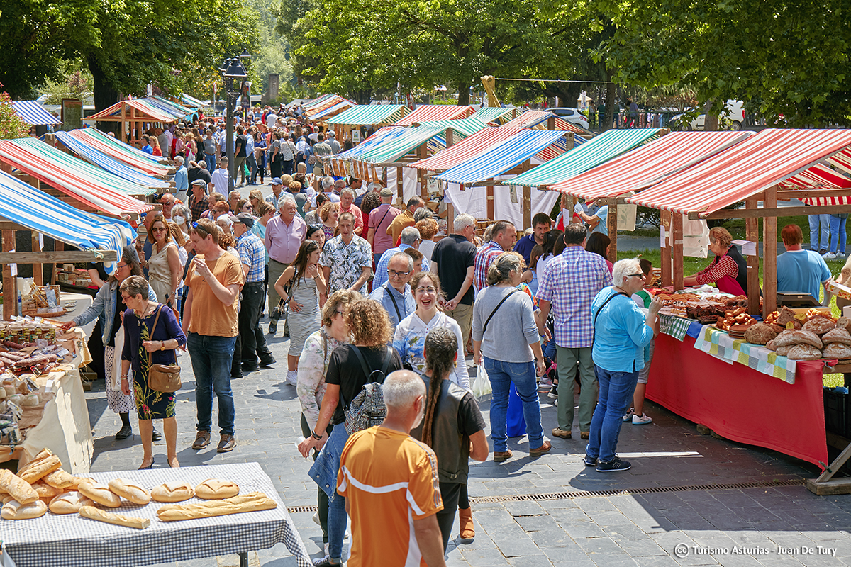 TurismoAsturias's tweet photo. Se aproxima un fin de semana con 2️⃣ Fiestas de Interés Turístico.
🔹Primera Flor de Grau/Grado
🔹Fiesta del Picadillo y el Sabadiego (Noreña)
Y en la agenda deportiva:
🚴♀️ Vuelta Ciclista a Asturias 🗓️ 24-27 abr
🏃♂️ Trail Tierra de Ibias 🗓️ 26-abr
🛶 44 Descenso del río Piloña - L'Infiestu 🗓️ 26-abr ⏰ 17h.
Todos los detalles de estos y otros eventos en https://t.co/Rh8tlGvD9G