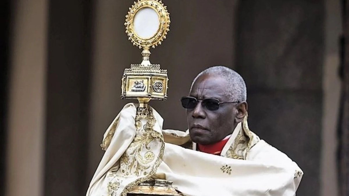 Si es elegido como Papa, todo lo que no sea que elija de nombre Blade I, me parecería un error.