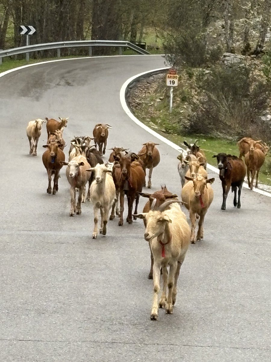 Ruta compartida.
Carreteras de la Comunidad de Madrid.