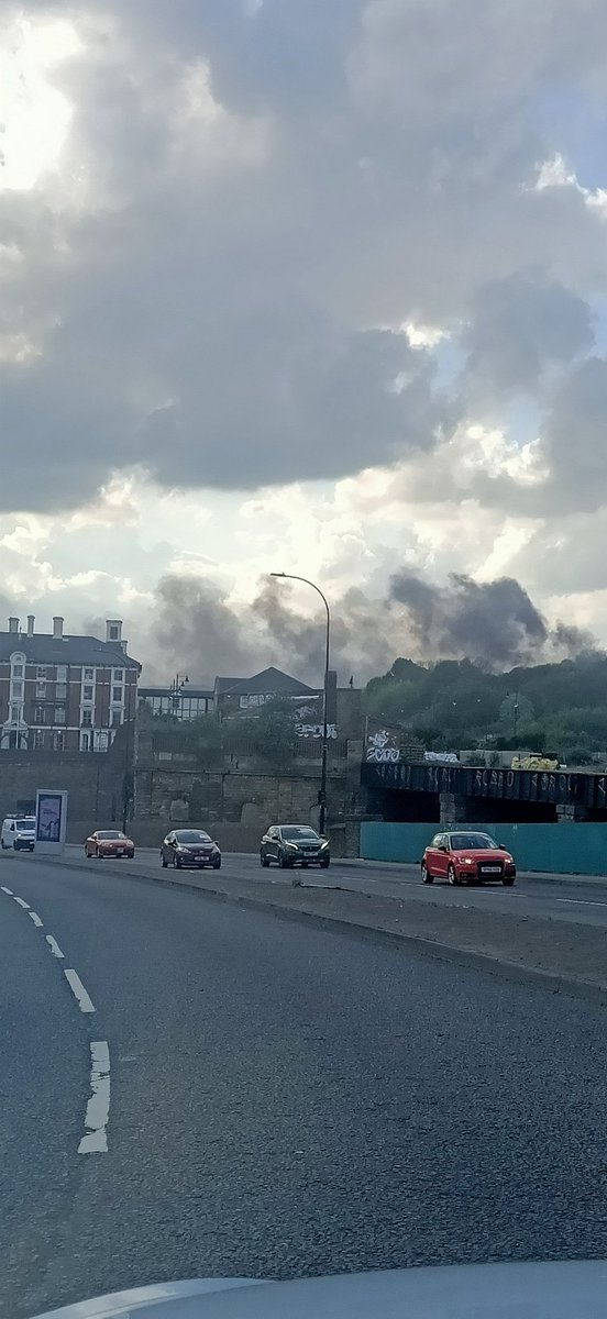 Wondering Wednesday...🦉🍌🍌🍌🍌 tweet media