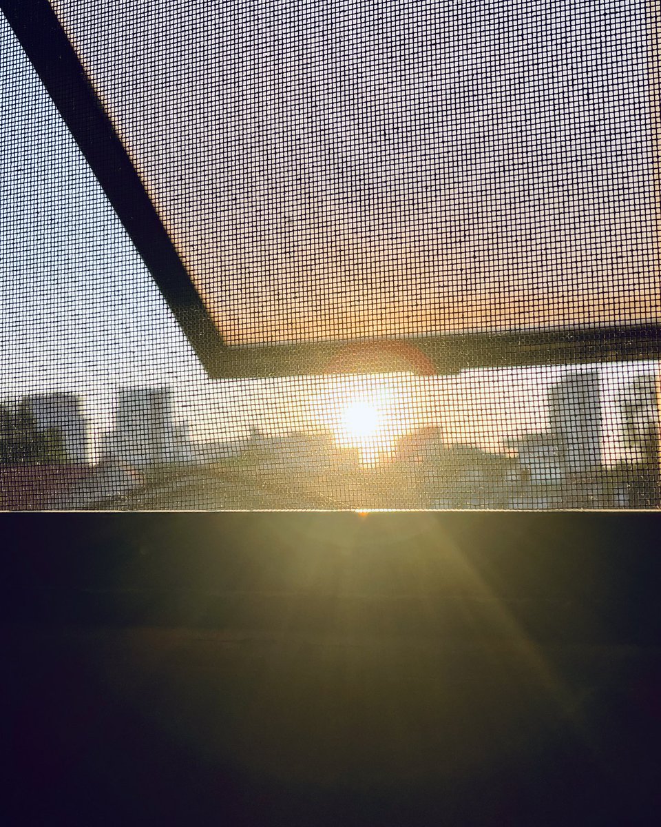 Gm! Say it back☀️