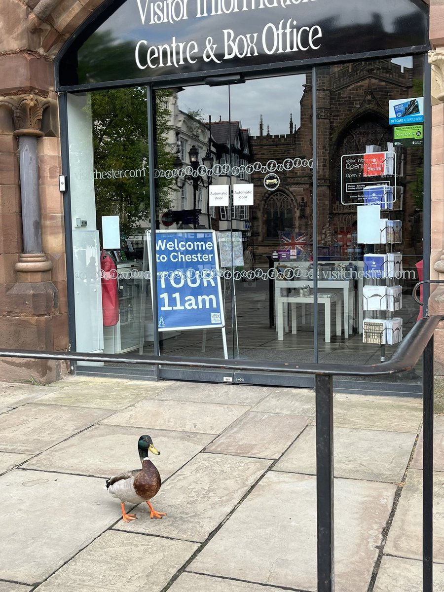 Chester01244's tweet image. Donald is looking forward to the Welcome to Chester tour tomorrow @VisitChester_