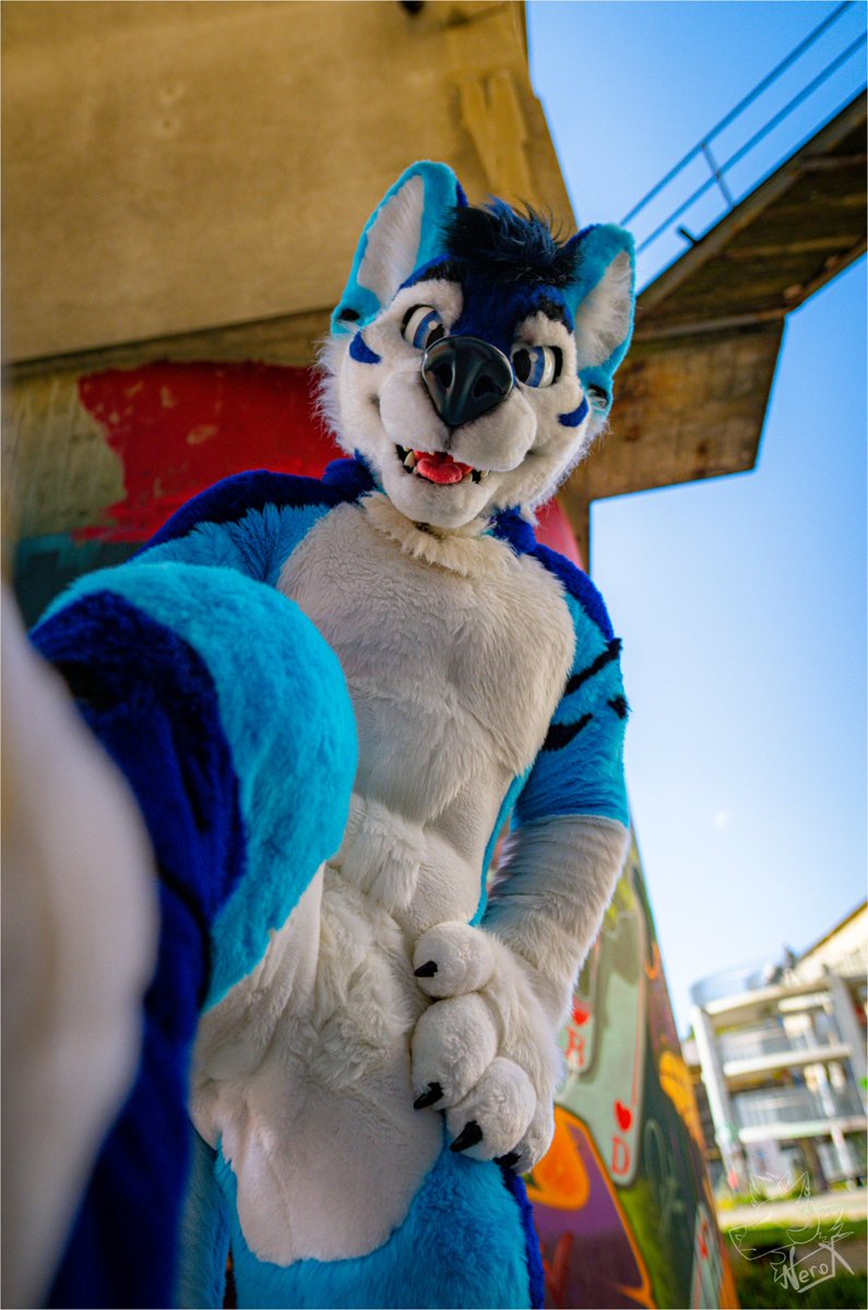 Big stomp! 🐾 
#WaggeryWednesday

📸: <a href="/fur_nerox/">Nerox</a> 
🪡: <a href="/WaggeryCos/">Waggery Costumes</a>