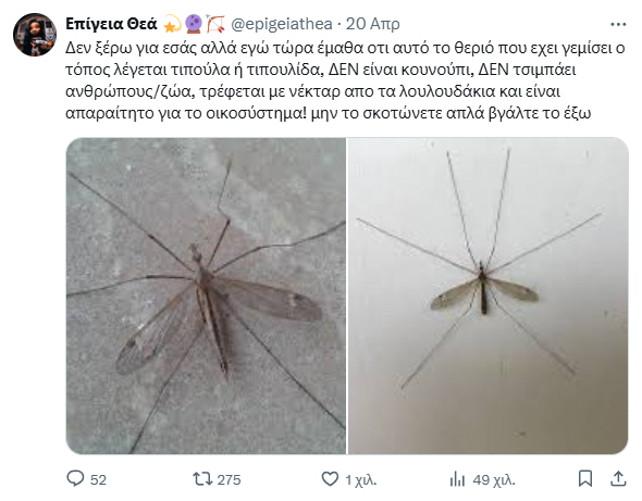 ...εδώ κοιτάξτε, το αγράμματο κ αμόρφωτο αιωρούμενο σκουπίδι, μας καλεί να σώζουμε κουνούπια, κ για το παχύ της έντερο έχει φάει ολόκληρη τη Κιβωτό του Νώε. σκατόψυχο σούργελο...
#govegan #loveanimals #fightback #revolution #supportalf #17N