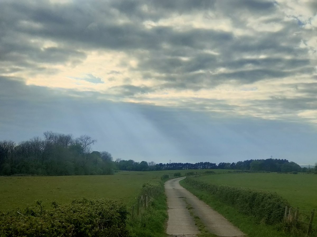 AngryWelshman tweet media