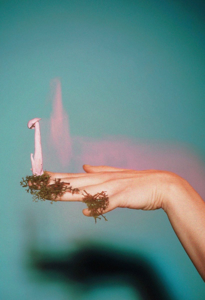 PhMuseum tweet media