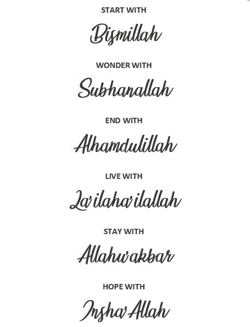 Tayub ch (@tayubch35290) on Twitter photo 