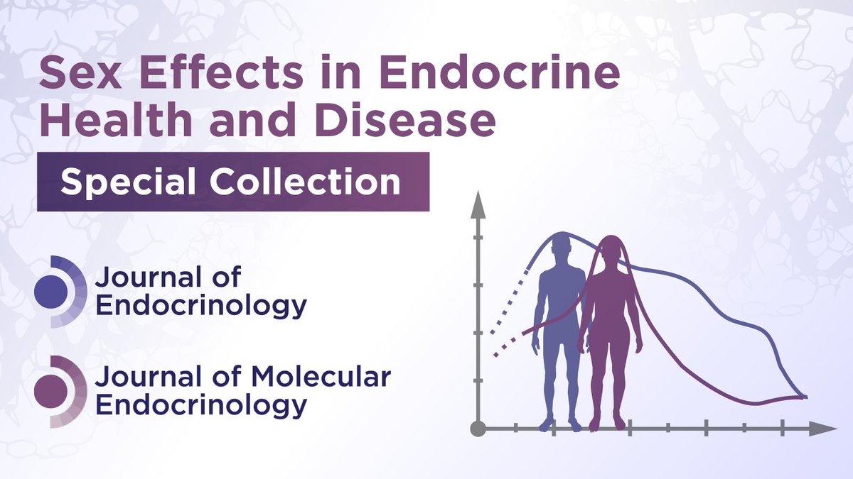 JEndocrinology's tweet image. 📢 Call for Papers: Sex Effects in Endocrine Health and Disease Special Collection. Showcasing the importance of studying both sexes in translational #endocrinology. Submit your article proposal and help make an impact in this important field ➡️ joe.bioscientifica.com/page/sex-effec…