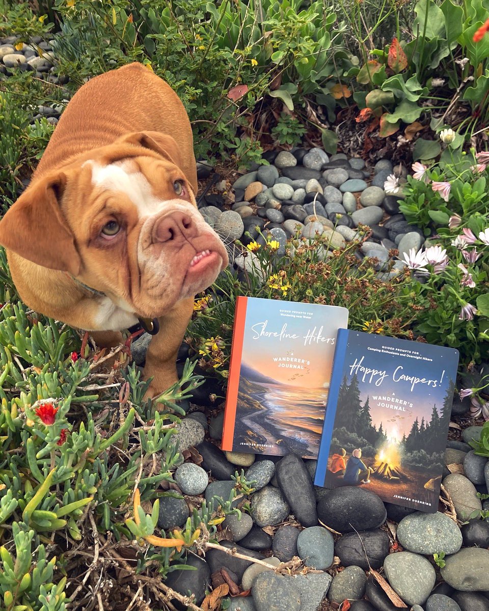 Jennifer Doehring Books (@jendoehring) on Twitter photo 🎉SHORELINE HIKERS and HAPPY CAMPERS are available for Pre-order <a href="/barnesandnoble/">barnesandnoble</a>.com 4/23-4/25!
Get your copy today! 😃
Use discount code: preorder25
barnesandnoble.com/s/%22Jennifer%…
#hiking #journal #adventure #camping #wanderlust 🎉SHORELINE HIKERS and HAPPY CAMPERS are available for Pre-order <a href="/barnesandnoble/">barnesandnoble</a>.com 4/23-4/25!
Get your copy today! 😃
Use discount code: preorder25
barnesandnoble.com/s/%22Jennifer%…
#hiking #journal #adventure #camping #wanderlust
