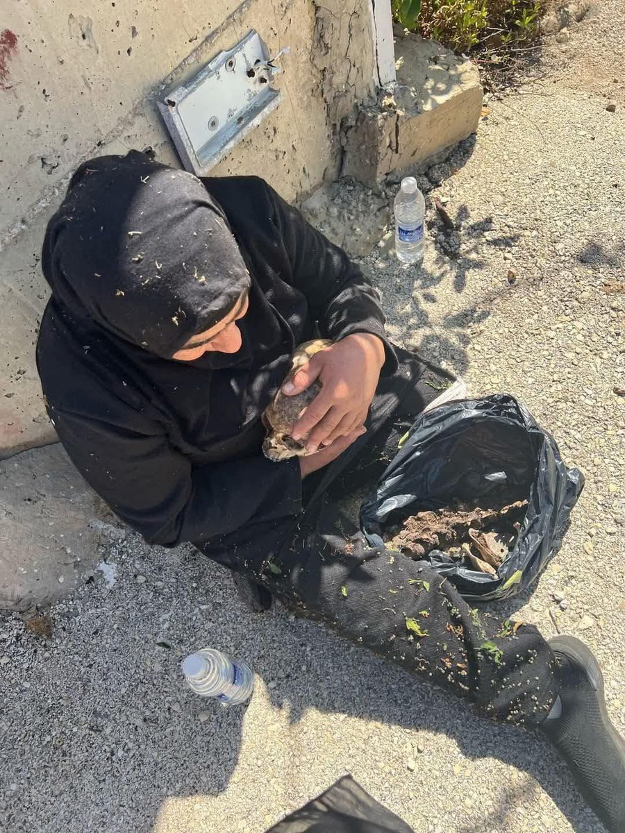 حاملة رأس  و عامود فقري بالكيس💔
هي والدة مفقود الأثر مصطفى وهبي من بلدة النبي عثمان 
عادت بنفسها إلى بلدة البياضة  في جنوب لبنان للبحث عن ابنها الذي مضى في الحرب...
هذا هو المجتمع الذي يريدون أن ينزعوا سلاحه تلبية لاميركا و"إسرائيل"  ..