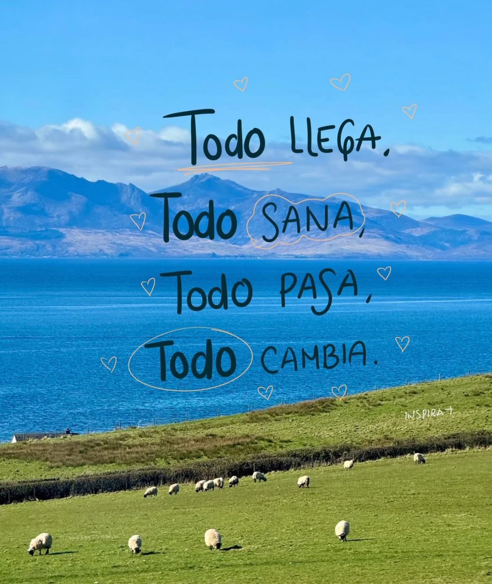 culturaliteral1's tweet image. 