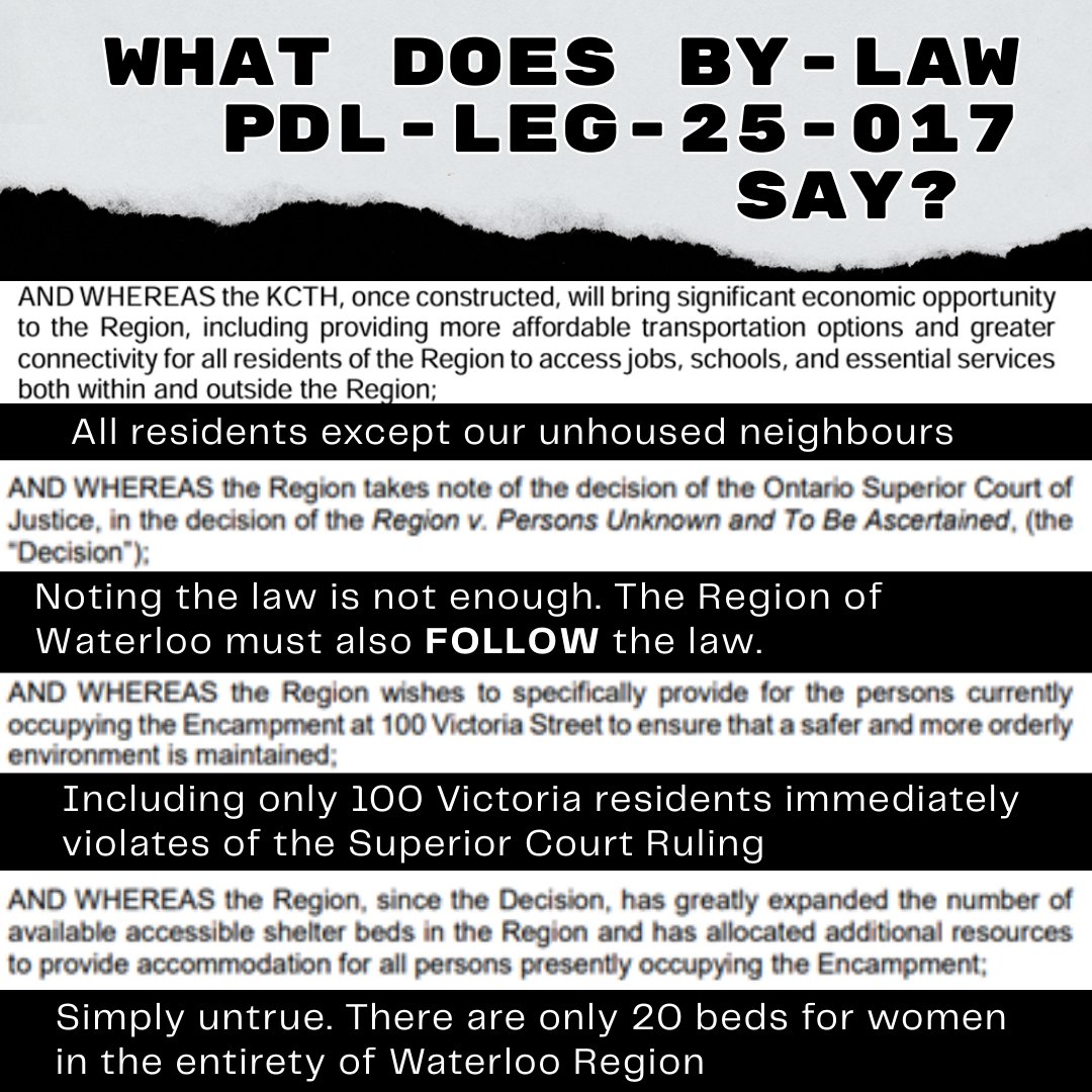 Fight Back! tweet media