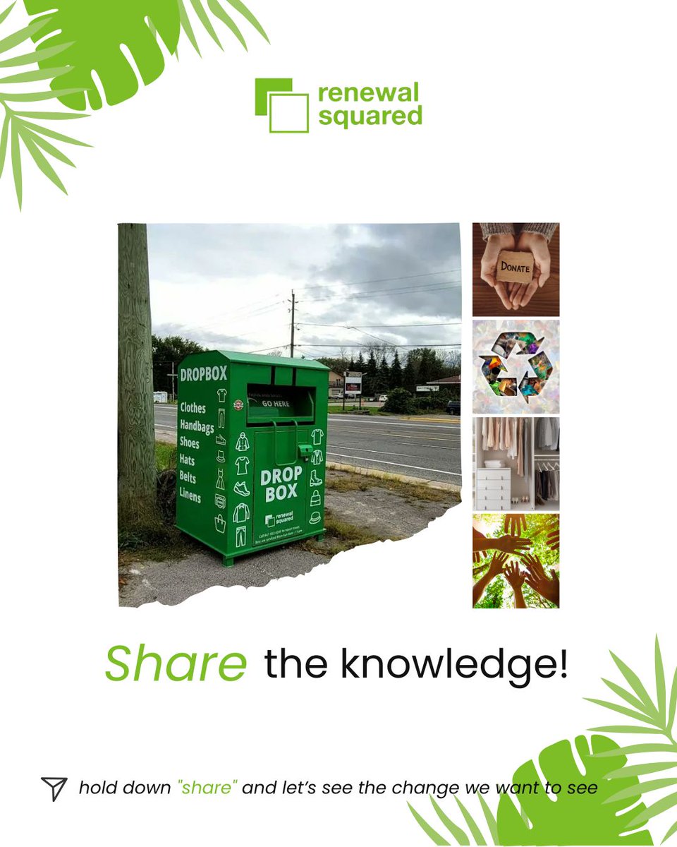 Renewal Squared tweet media