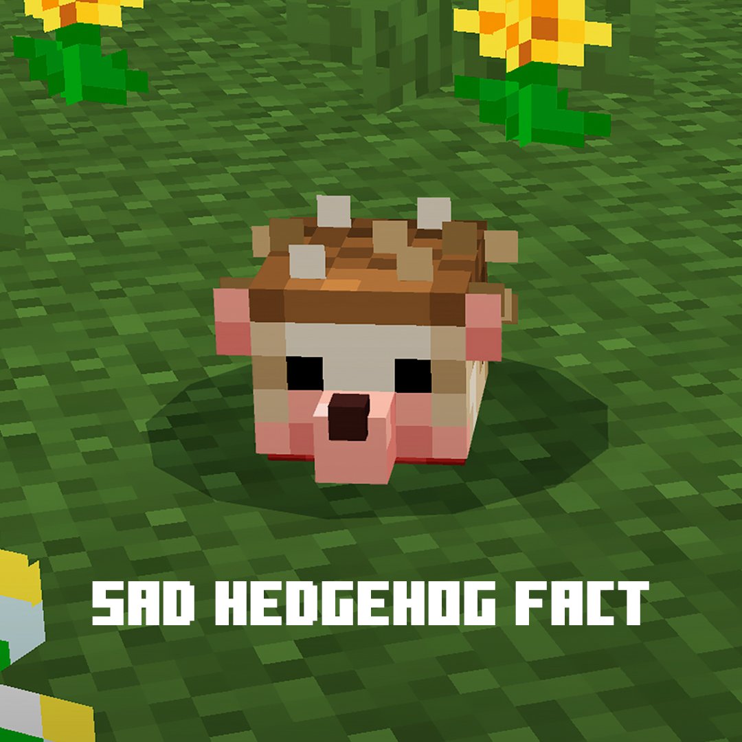 MinecraftMarket's tweet photo. Although hedgehogs can't play Minecraft, you can add them to your existing Minecraft worlds with the updated Naturalist 3.0 Add-on!

Now with 130+ animals, find new animals in forests, deserts, oceans, and more! Check out the Add-on and the rest of this month's Marketplace Pass and Realms Plus content: https://t.co/E0GgoVJ2XS