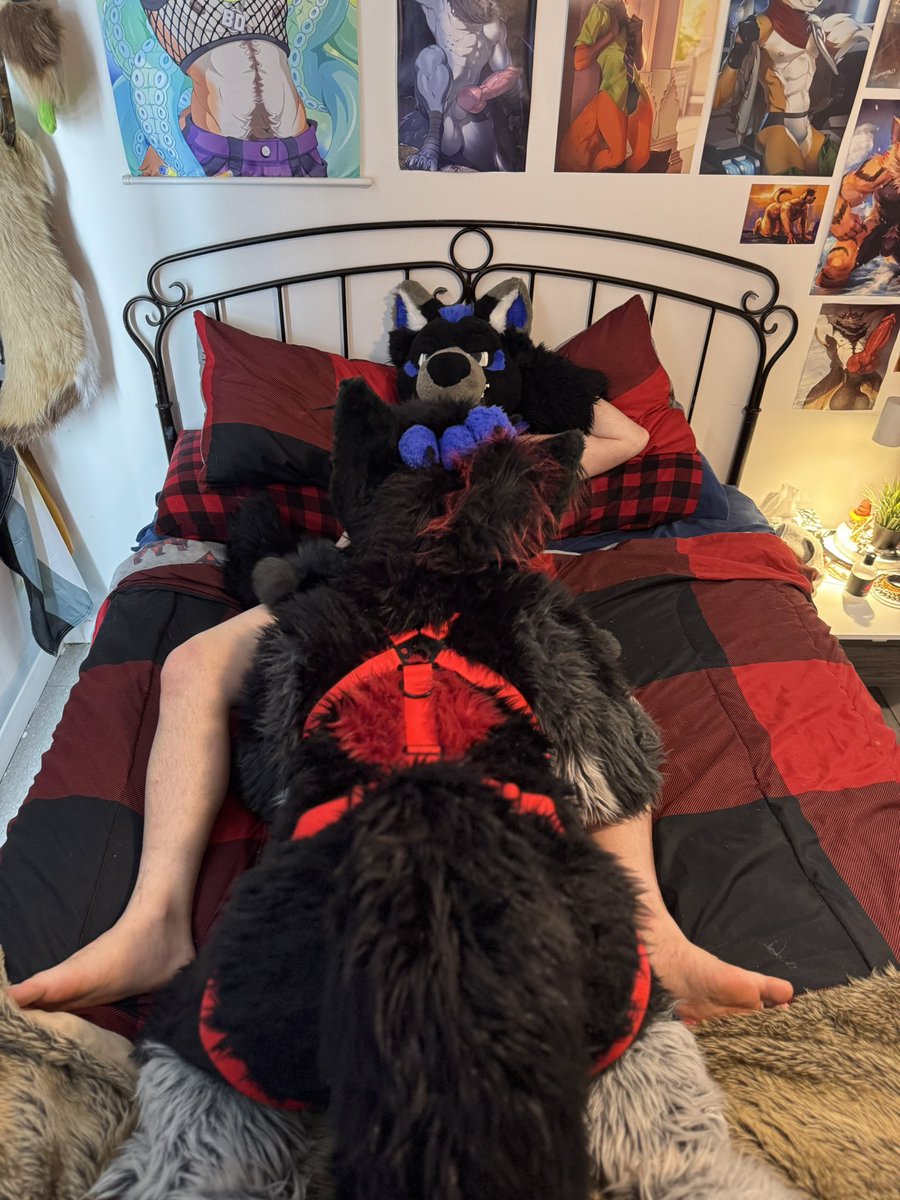 I think that big bad wolf found a bone he like 🐺❤️🦴
🐺:<a href="/SkywayWolf/">Skyway</a>
🐺:<a href="/Koroad666/">Koro AD</a> 
📸:<a href="/MuzoFox/">Muzo Fox</a>

#Furry #Murrsuit #Murrsuiter #Wolf #Wolfdog #Fursuit #Fursuiter #Furrynsfw #NSFW #Furrycommunity #Furryfandom #Furries #Ass #Furrytrash #Horny #Furryporn #Yiff #Gayfurry