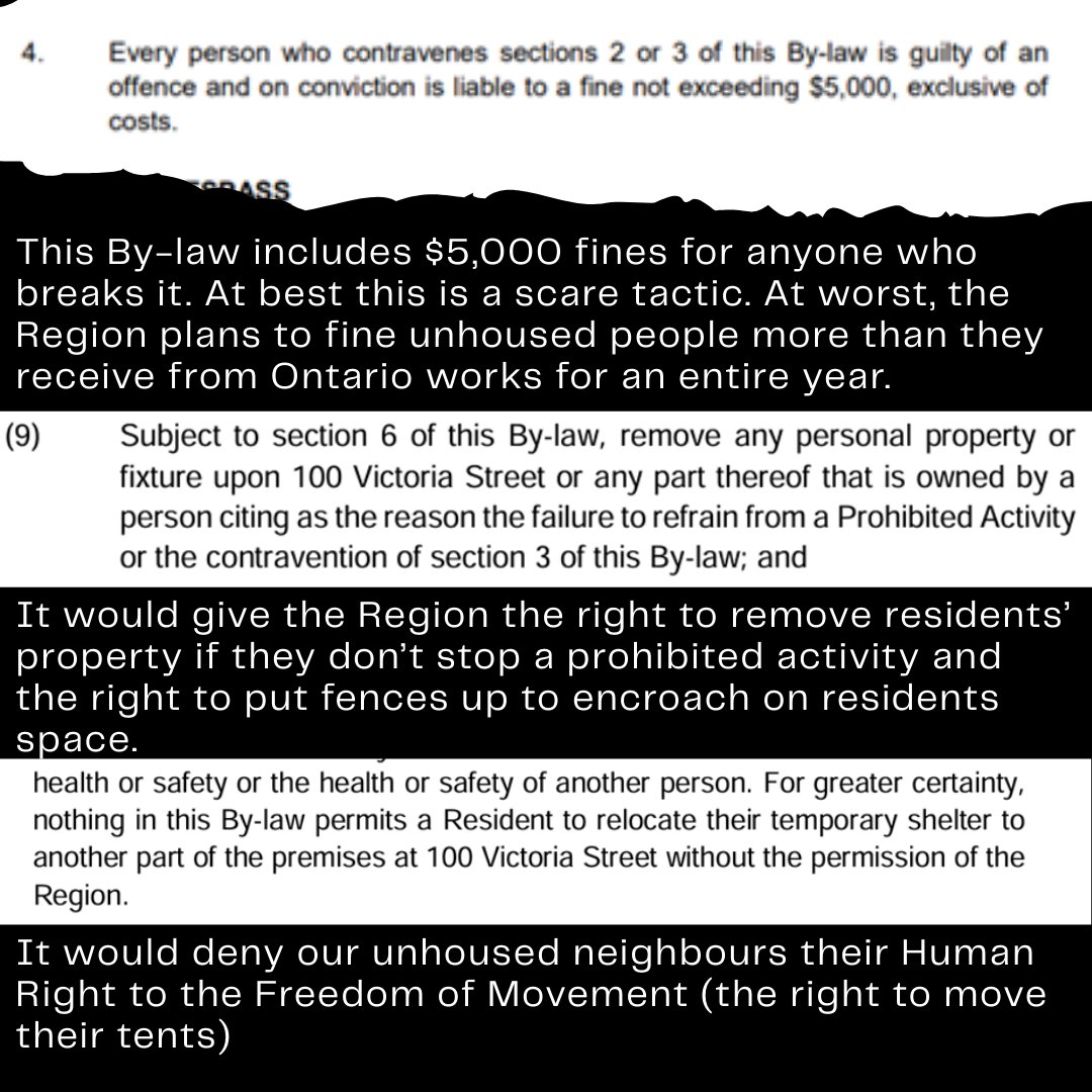 Fight Back! tweet media