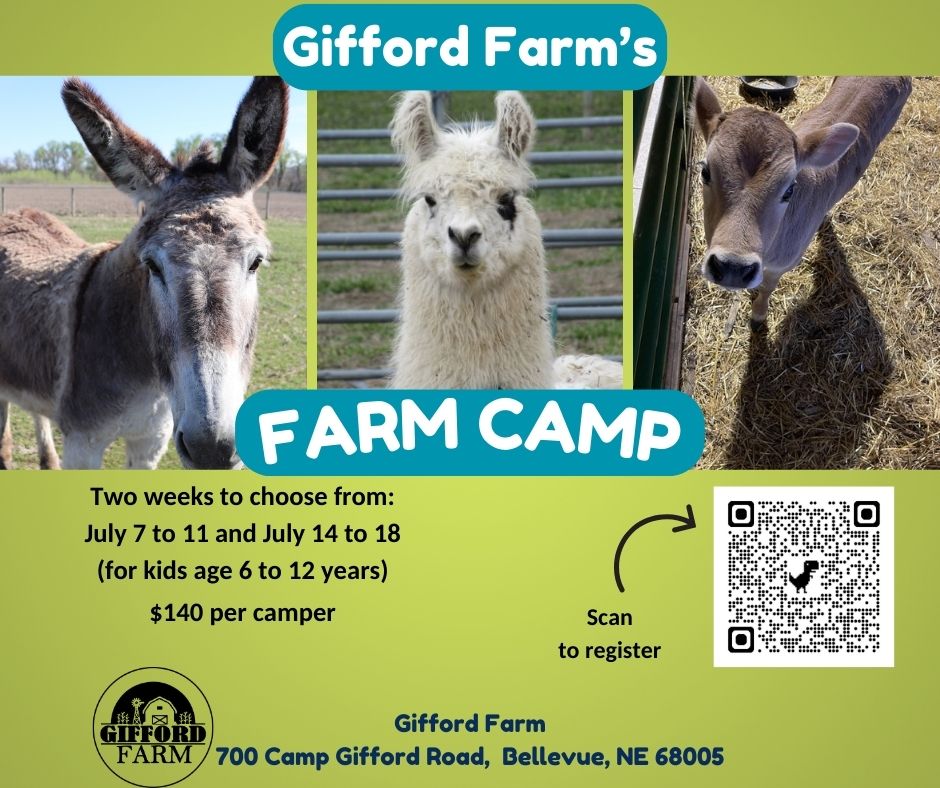 Sign your kids up for Gifford Farm's Farm Camp. You have the option of choosing between 2 weeks and what works best for your schedule. This 5 day camp is lots of fun and for the older kids ages 6 to 12.