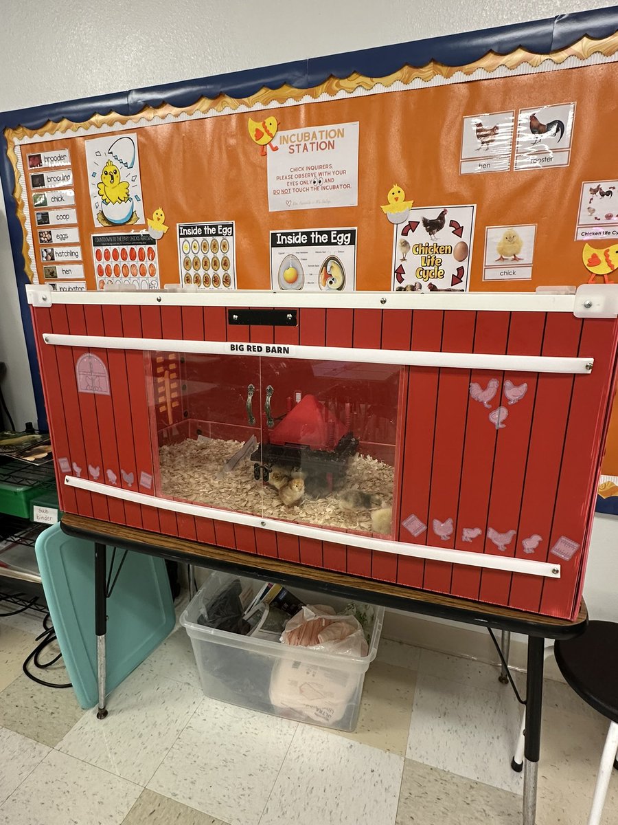 Victoria Renee Pantoja tweet media