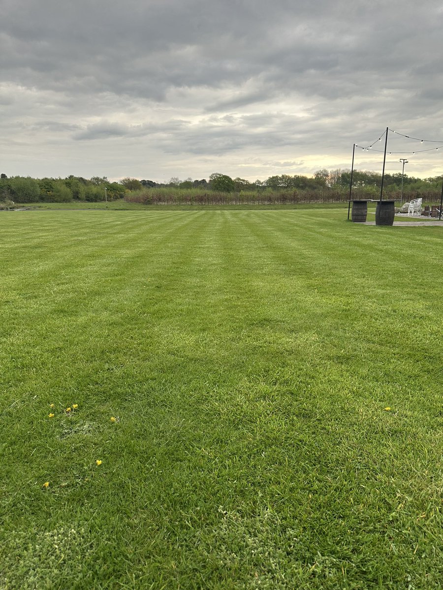 Johns upped his striping game on the wedding lawn this season! Next year he plans to get them straight all the way across too 😳🤷🏼‍♂️