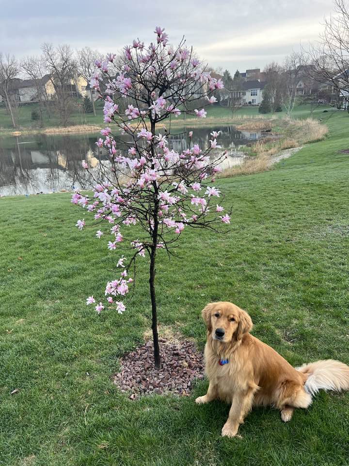 Rockford IL Thursday, Burlington IA Friday! - mailchi.mp/7a0d642d6628/r…