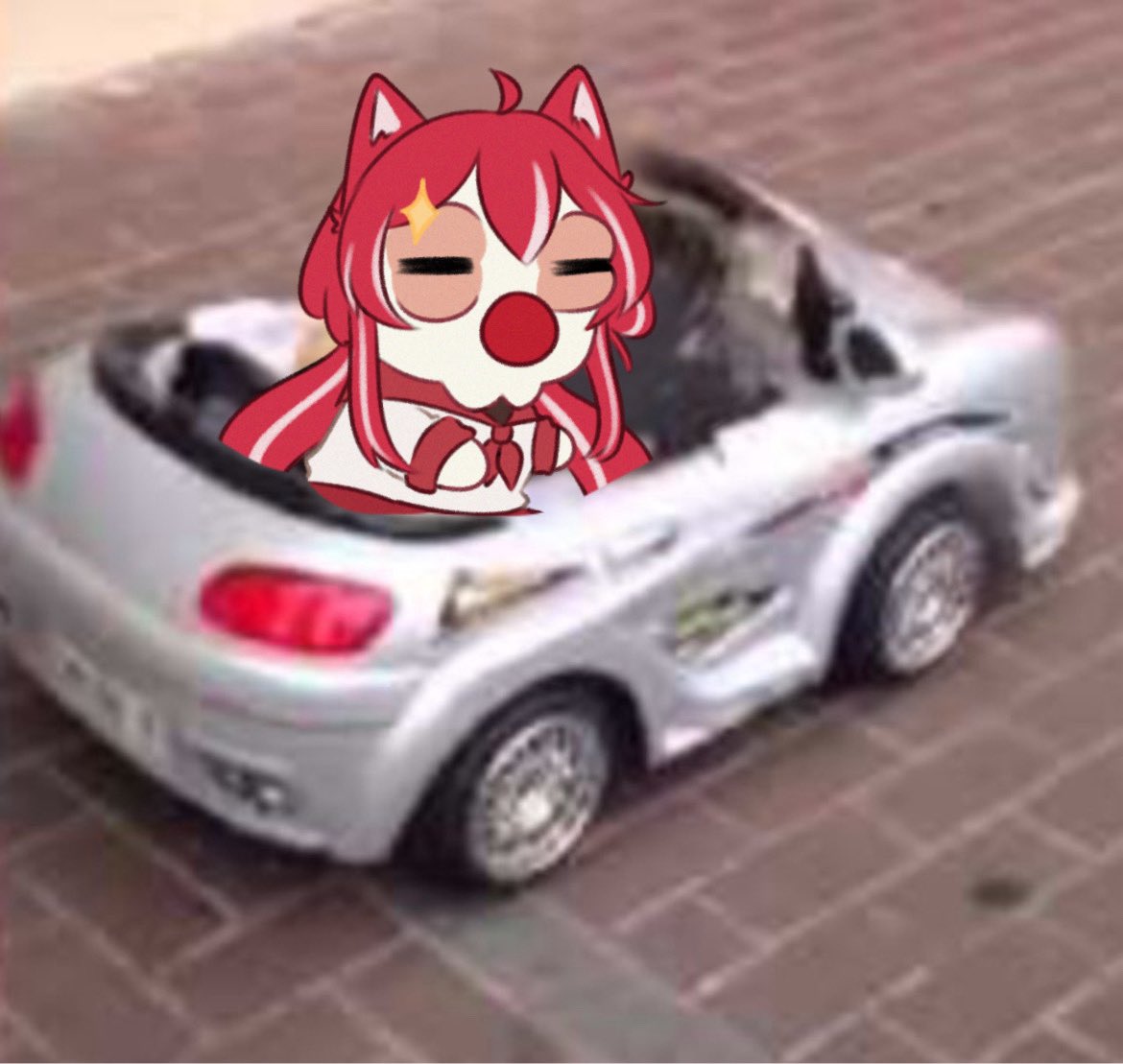 Adivinen quien sacó su licencia de conducir