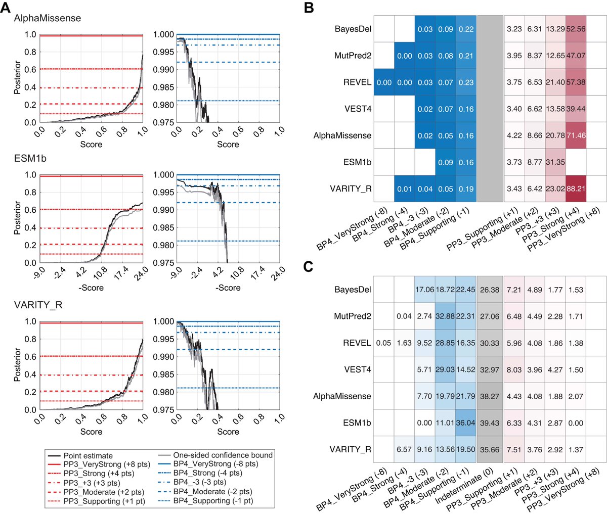 Three next-gen computational tools (AlphaMissense, ESM1b, VARITY) now calibrated for clinical variant classification! They can reach Strong evidence for pathogenicity &amp; Moderate for benignity, performing similarly to previous tools <a href="/vikaspejaver/">Vikas Pejaver</a> bit.ly/44t30N7