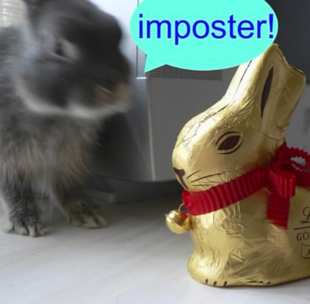 Bunnies's tweet photo. https://t.co/3p1CBDtJ8B