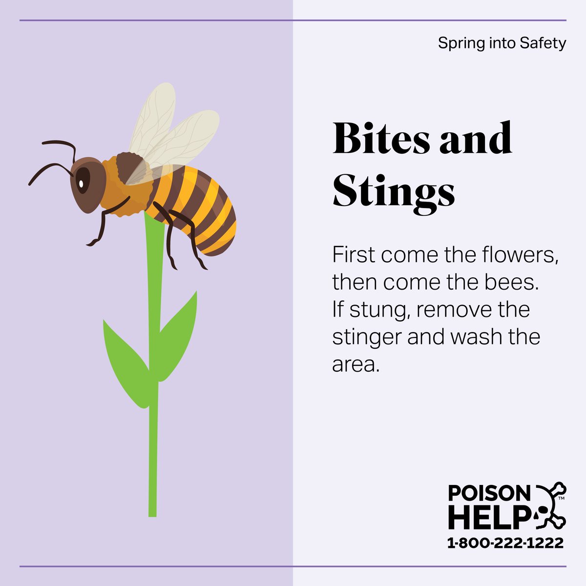 utahpoison's tweet image. If you have an allergic reaction to a bite or sting call poison control at 1-800-222-1222. However, if the person is having trouble breathing call 911 right away. #SpringIntoSafety #PoisonHelp