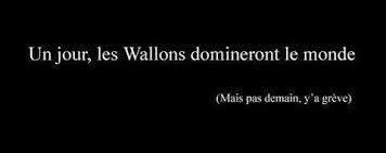 JQuerton's tweet image. Oufti mon ami, méfiez vous des #Wallons 😉