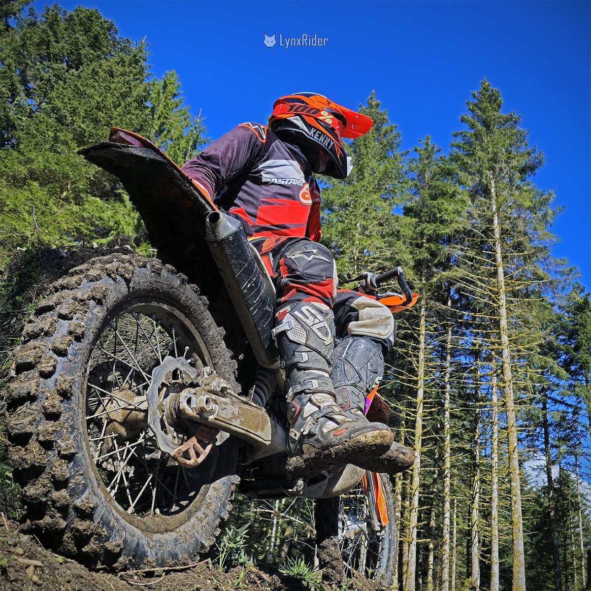 20/04/2025 - In the heart of the wilderness, I find my freedom

#ktm #ktm300exc #ktmexc #ktmfamily #ktmlove #bikelife #bikerboy #bikers #dirtbike #dirtbikelife #enduro #endurobike #endurolife #gear #gearfun #motorbikelife #motorcycle #readytorace