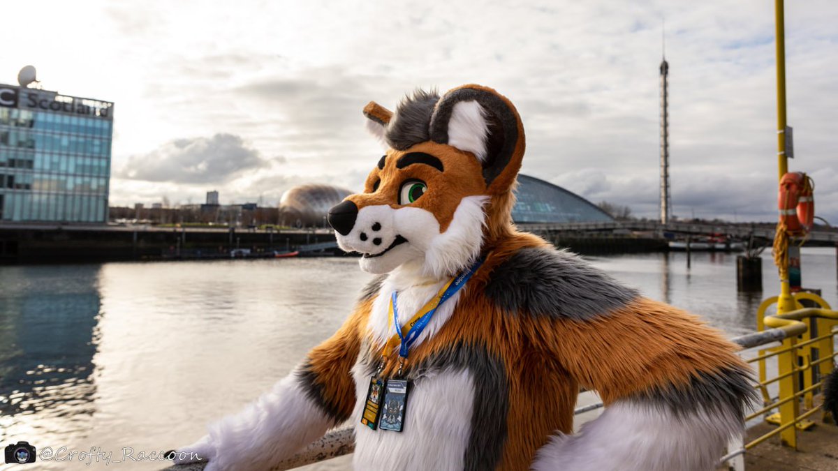 <a href="/Crofty_Raccoon/">crofty_raccoon</a> catching the good side🥰