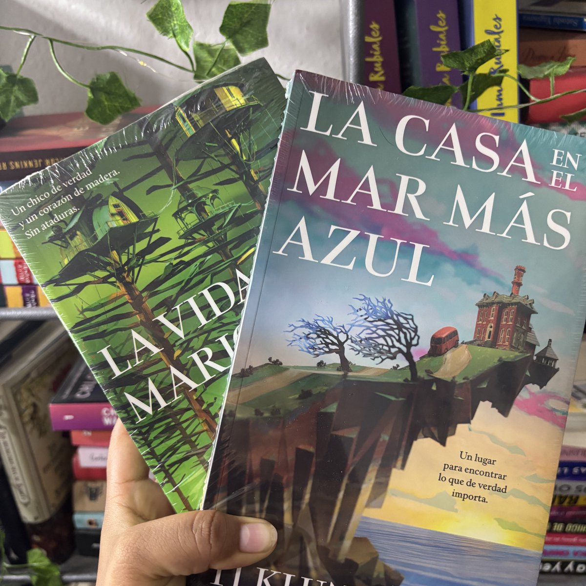 kimrhxdes's tweet image. "Cada libro tiene un alma, el alma de quien lo escribió y el alma de quienes lo leyeron."

Feliz día del libro 💗✨

#DiaDelLibro