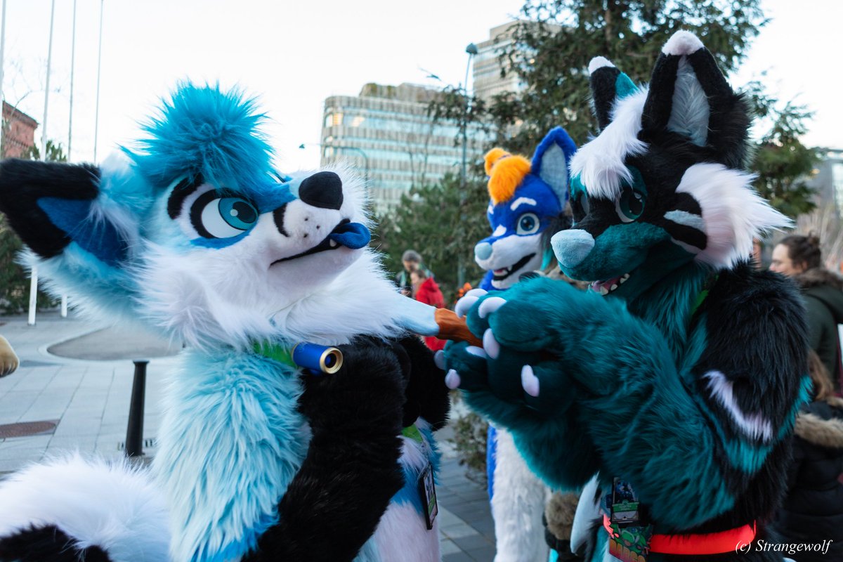 Dargo the Dragon (@dargothedragon_) on Twitter photo Short story on how not to trust a wagon with a giant kitchen knife!
No worries, I'm just cutting <a href="/AuriFusky/">Auri Blueboy</a>'s Head off because I need more Fursuits ππ
πΈ <a href="/Strange99wolf/">Strangewolf</a> Short story on how not to trust a wagon with a giant kitchen knife!
No worries, I'm just cutting <a href="/AuriFusky/">Auri Blueboy</a>'s Head off because I need more Fursuits ππ
πΈ <a href="/Strange99wolf/">Strangewolf</a>
