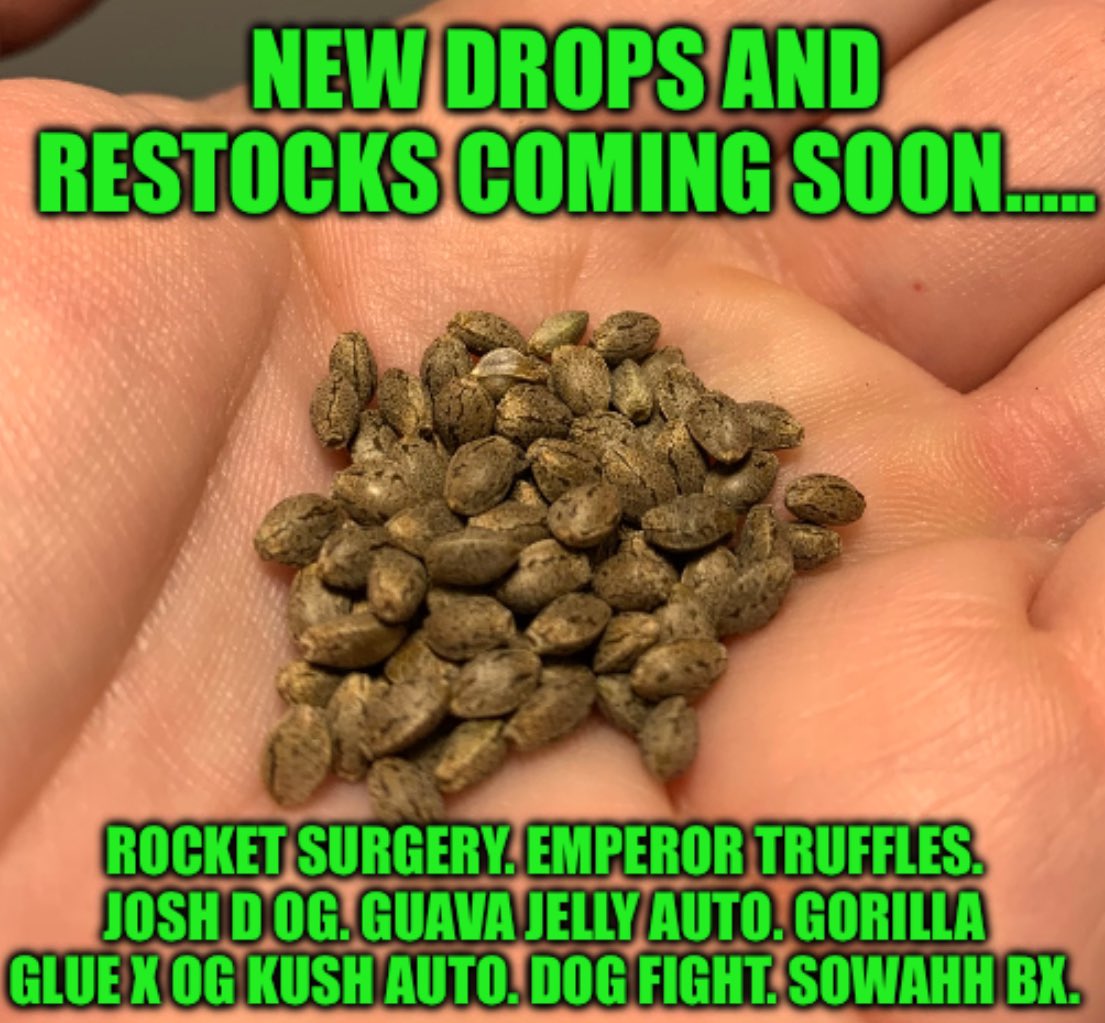 cascadia_seeds's tweet image. 