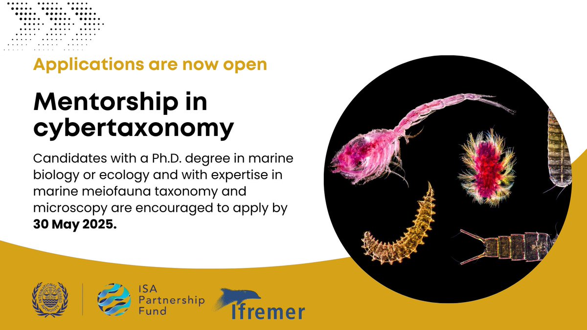 SolUdochi's tweet photo. 1-year postdoc by @Ifremer_fr in cybertaxonomy and env. assessment of deep-sea mining. Required: PhD in marine biology or ecology, preferably with expertise in marine meiofauna taxonomy and microscopy. Fluency in English. From a developing member state.
https://t.co/AL5uZhJvie https://t.co/TeMBXEMRIt