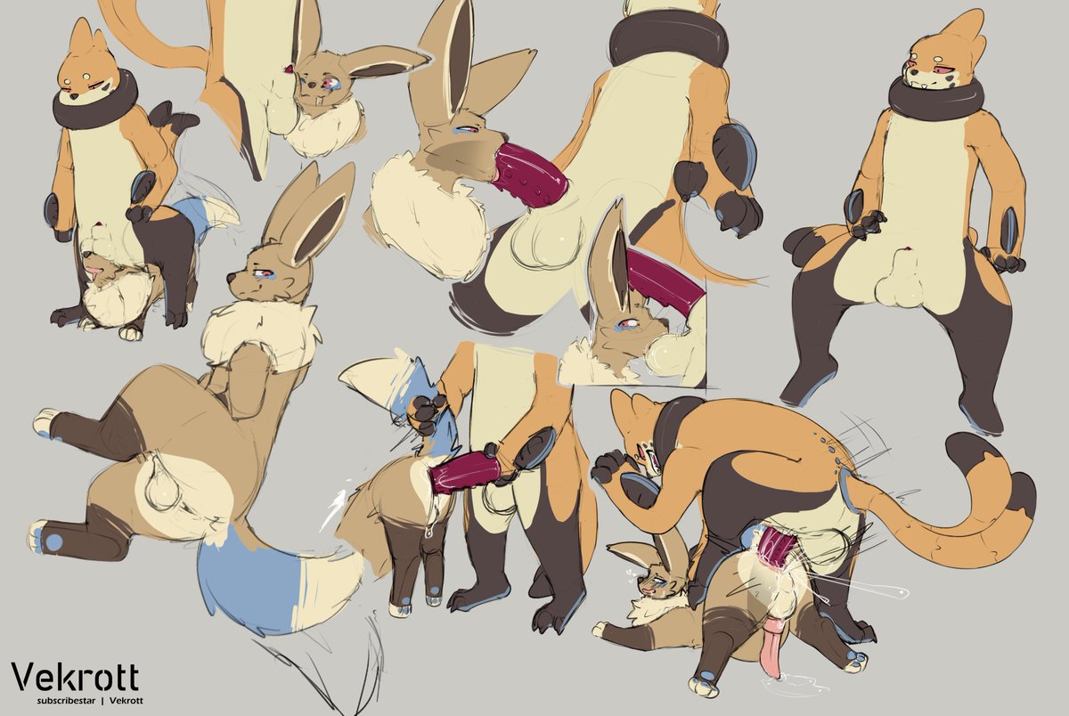 Getting acquainted, I guess?