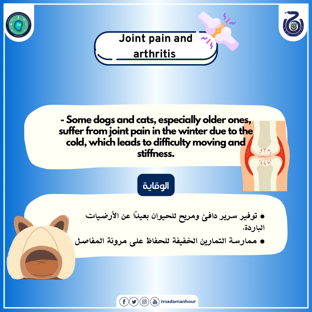 ivsadamanhour's tweet photo. بما إن الشتاء خلاص بيودعنا تعالى نتكلم عن معظم المشاكل اللي قابلت حيواناتنا الأليفة في الفترة دي وازاي ممكن نتجنب إنها تحصل تاني
#SCOVE
#IVSA
#IVSA_damanhour
#IVSA_EGYPT https://t.co/Jrnn4yiuuG