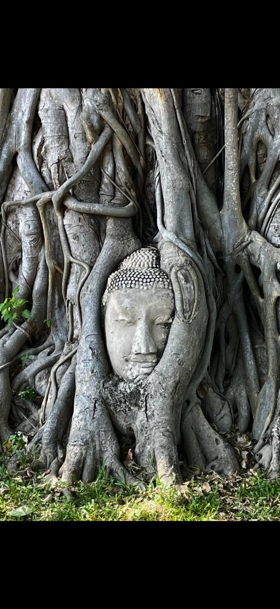 My mom took this picture in Thailand