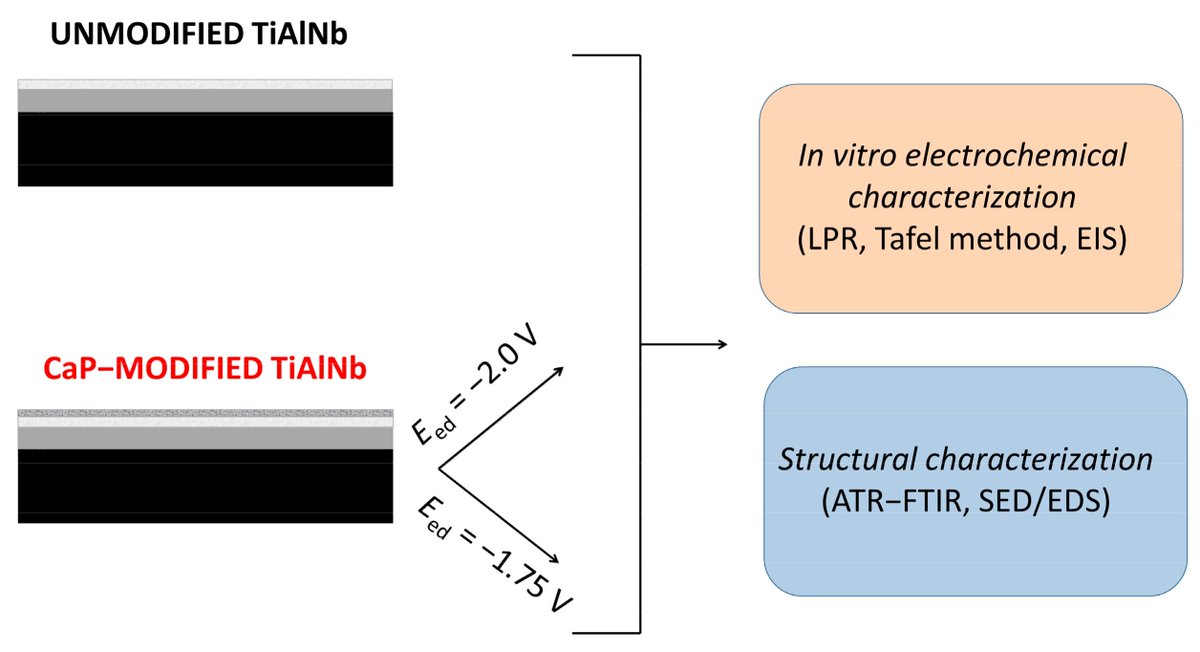 #MDPICoating #Highlycited #Article #OpenAccess
 
Title: Titanium Implant Alloy Modified by Electrochemically Deposited Functional Bioactive Calcium Phosphate Coatings
Authored by Jozefina Katić et al. from University of Zagreb
Link: mdpi.com/2079-6412/13/3…
 
#implant #titanium