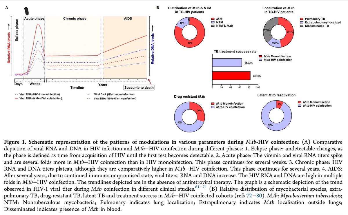 melarsoprol7's tweet photo. Bird’s Eye View on Mycobacterium tuberculosis−HIV Coinfection: Understanding the Molecular Synergism, Challenges, and New Approaches to Therapeutics

https://t.co/giuPLtcdHg https://t.co/aMgM9s5H9S