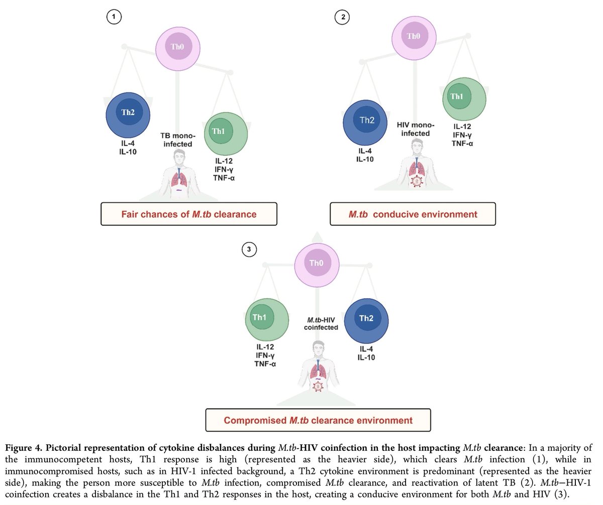 melarsoprol7's tweet photo. Bird’s Eye View on Mycobacterium tuberculosis−HIV Coinfection: Understanding the Molecular Synergism, Challenges, and New Approaches to Therapeutics

https://t.co/giuPLtcdHg https://t.co/aMgM9s5H9S