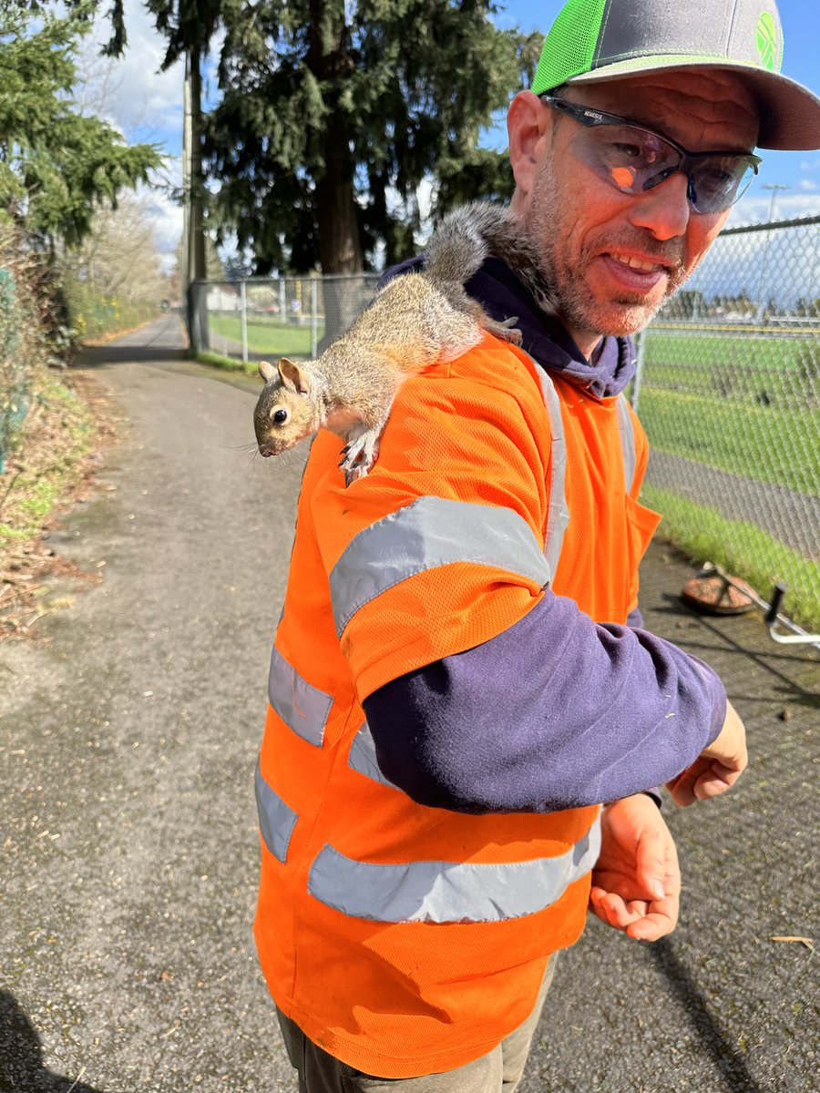 wsdot_southwest's tweet image. It’s #GoOrangeDay for #NationalWorkZoneAwarenessWeek 🦺

The people in the orange vests are more than workers—they’re parents, friends, neighbors &amp;amp; even animal rescuers. 

They all deserve to get home safe, every day.

You can help by slowing down &amp;amp; staying alert in work zones.
